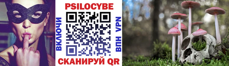 Купить где Боровск Псилоцибиновые грибы Psilocybine cubensis